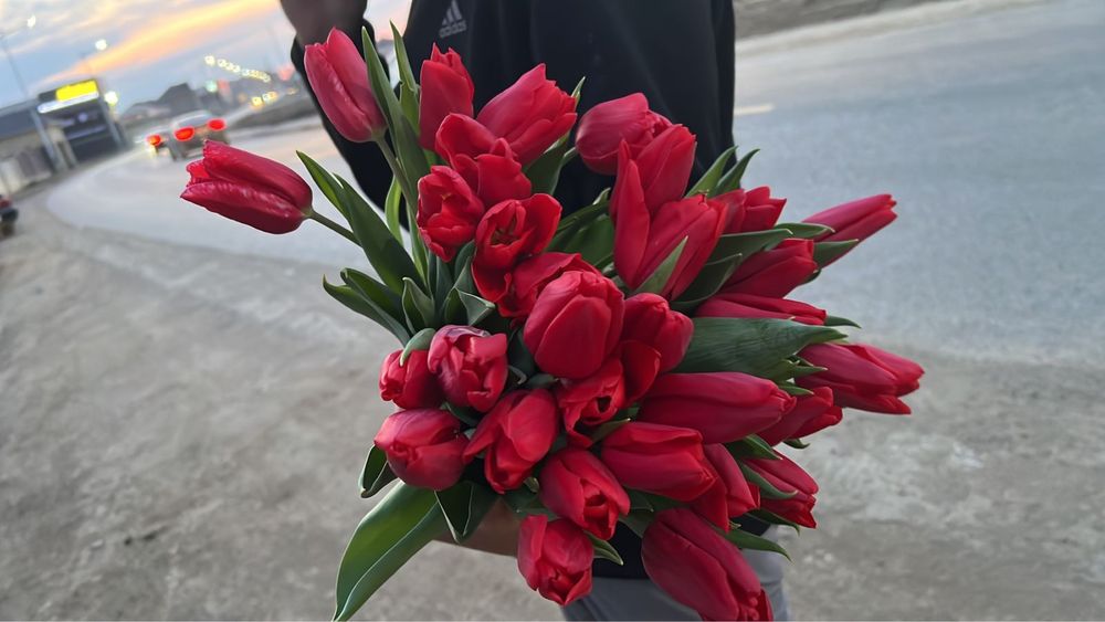 Тюльпаны круглосуточно доставим