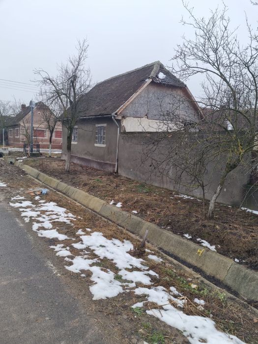 Casa de vanzare cu teren generos in Buteni, jud. Arad, cu fantana