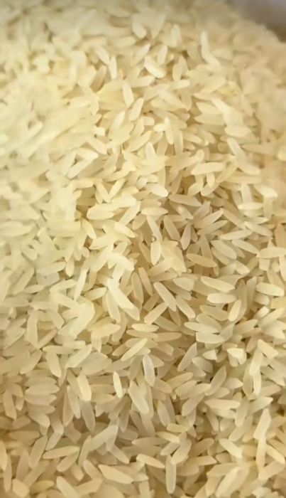 Рис Лазер Ташкентский