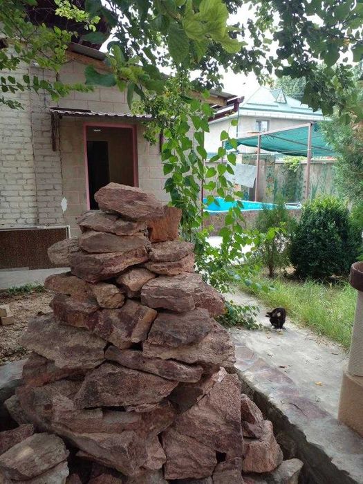 Продаётся дача (2 дома на участке), Паркентский р-н (Навбахор).