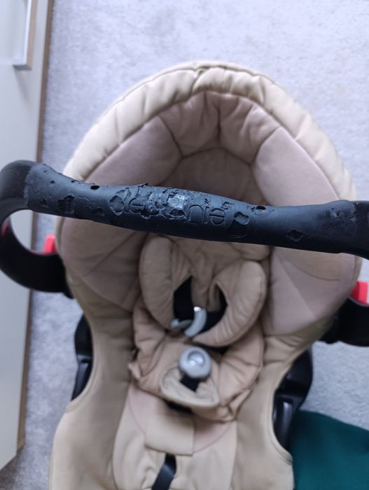 Scoica bebeluși teutonia