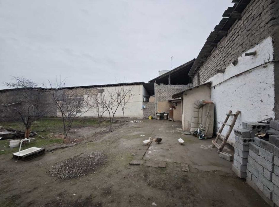 Тошкент ш., Янгихаёт тумани, Чорток махалласида 3 сотих уй сотилади