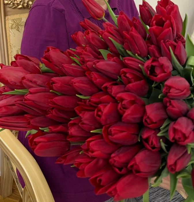 Тюльпаны по 250тг!!