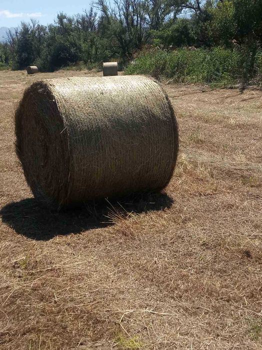 Продавам ролонни бали сено