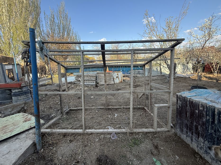 Тауық кепе сатылады 15мың