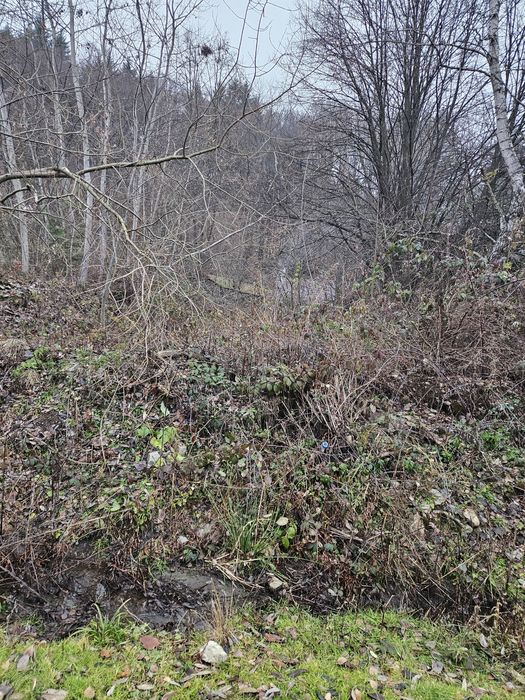 Vand teren intravilan Pădurea Neagră