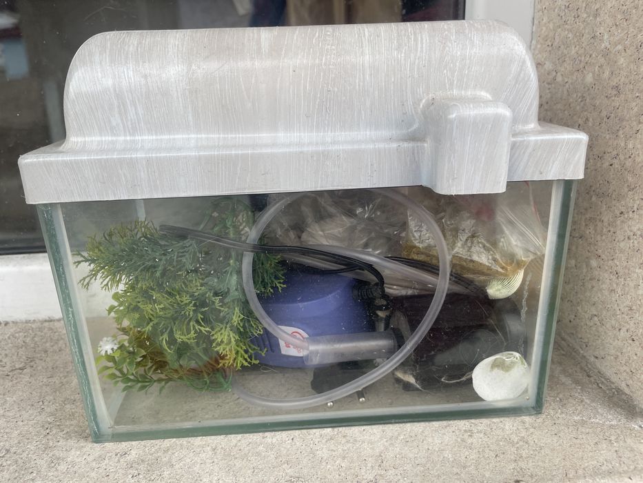 Аквариум с комплектующими продам для рыбок