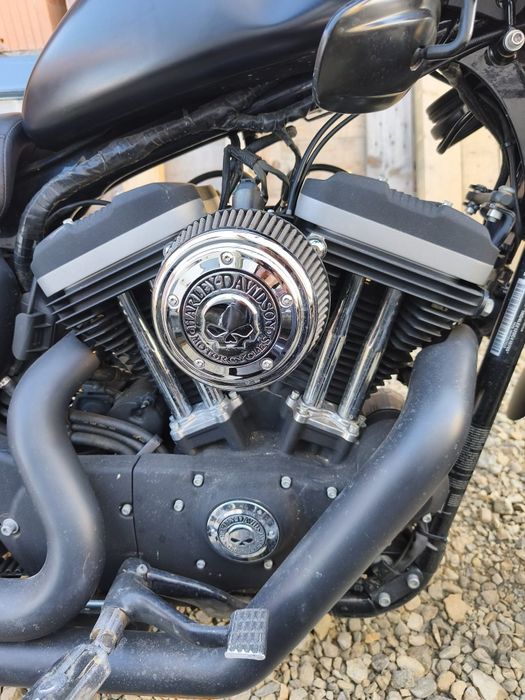 HarleyDavidson Sportster 883 2013