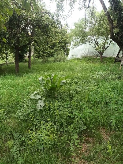 Vand teren intravilan DEJ