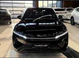 BYD Yuan Up Dop pod zakaz