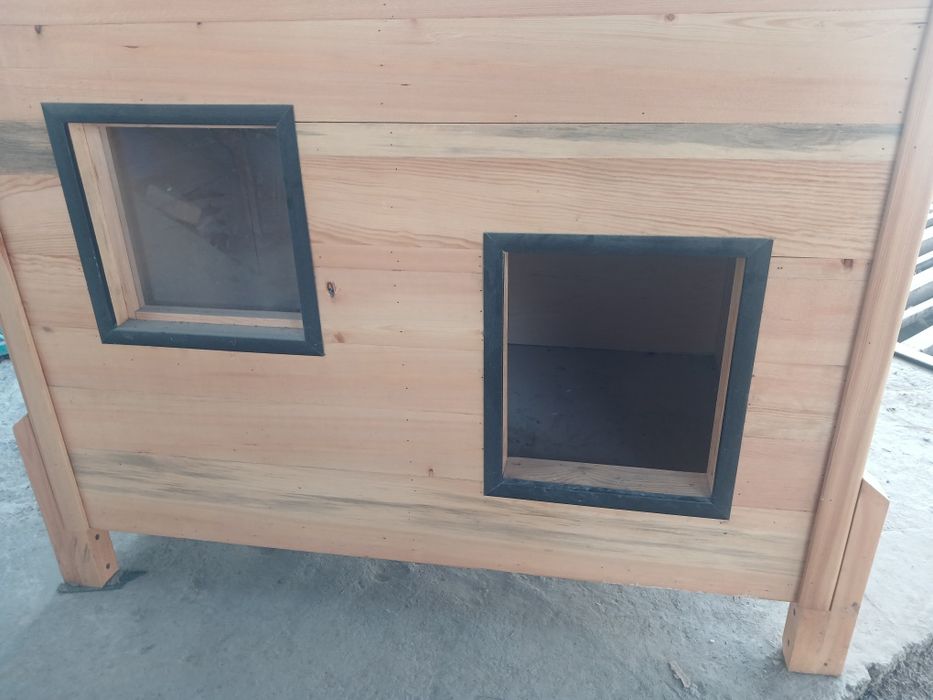 It yoki mushuk uchun uy