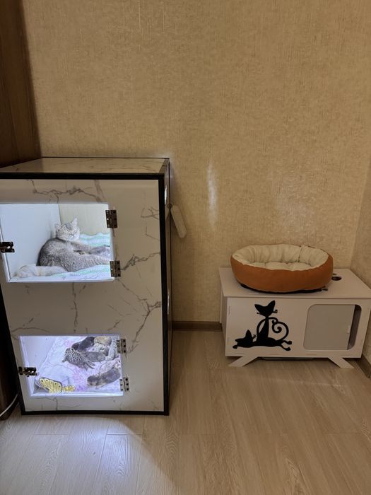 Дом для Кошек и Котят / Для Родов на заказ