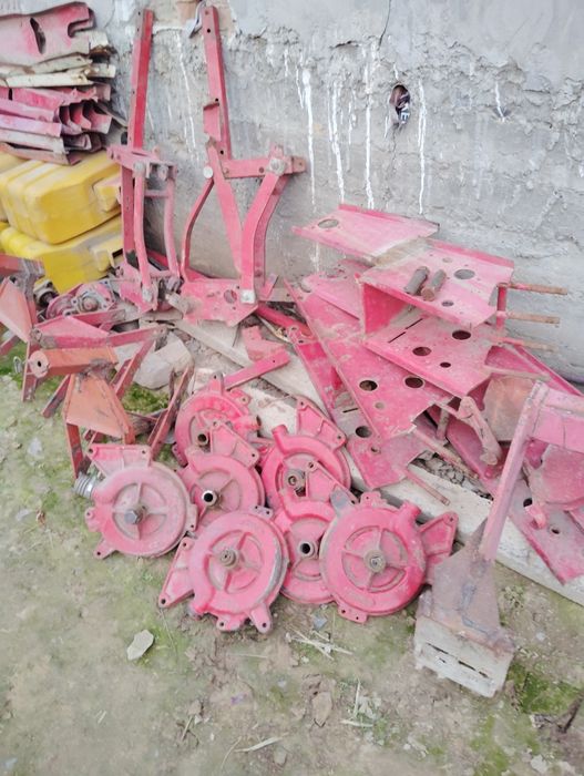 Daichi selka zabchastlari