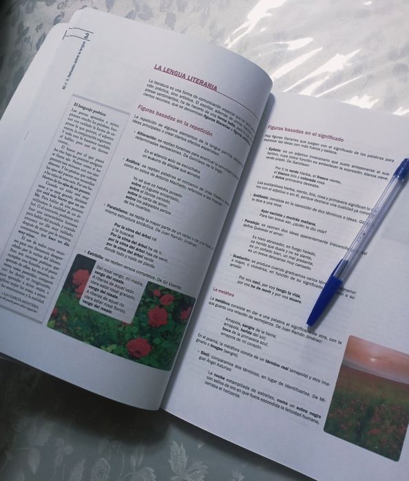 Книга испанского языка