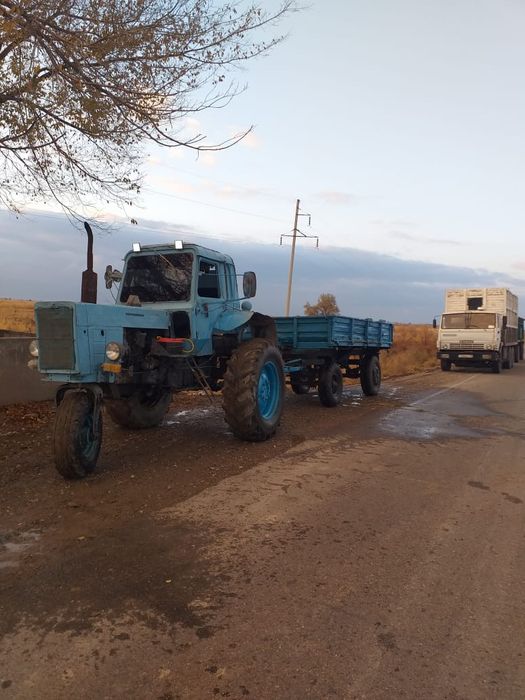 Телешка сатылады Мтз