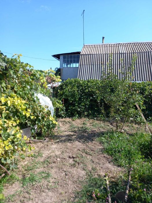 Продам дачный домик с участком в пригороде Алматы