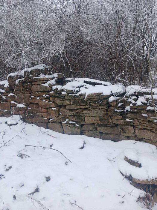 Къща в село Голяма Брестница