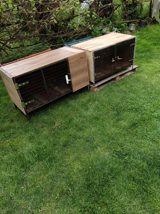 Cuști pentru iepuri