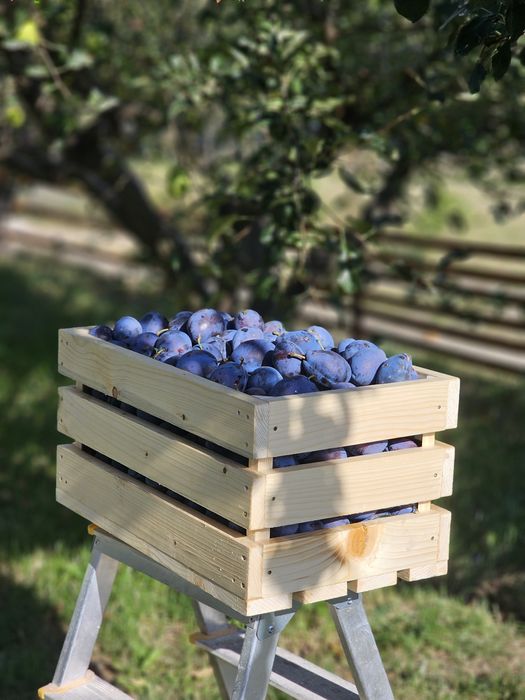 Lădiță lemn legume/fructe