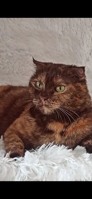 Ласковые ,игривые пареньки и девули