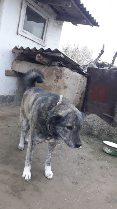 обмен бар келісеміз