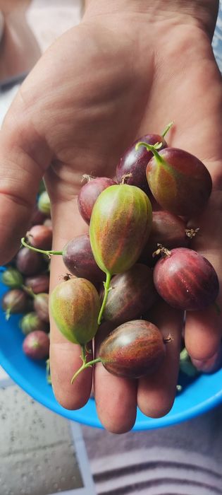 Продам частный дом