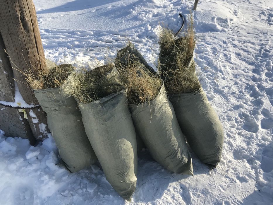 Сено в мешкаххххх