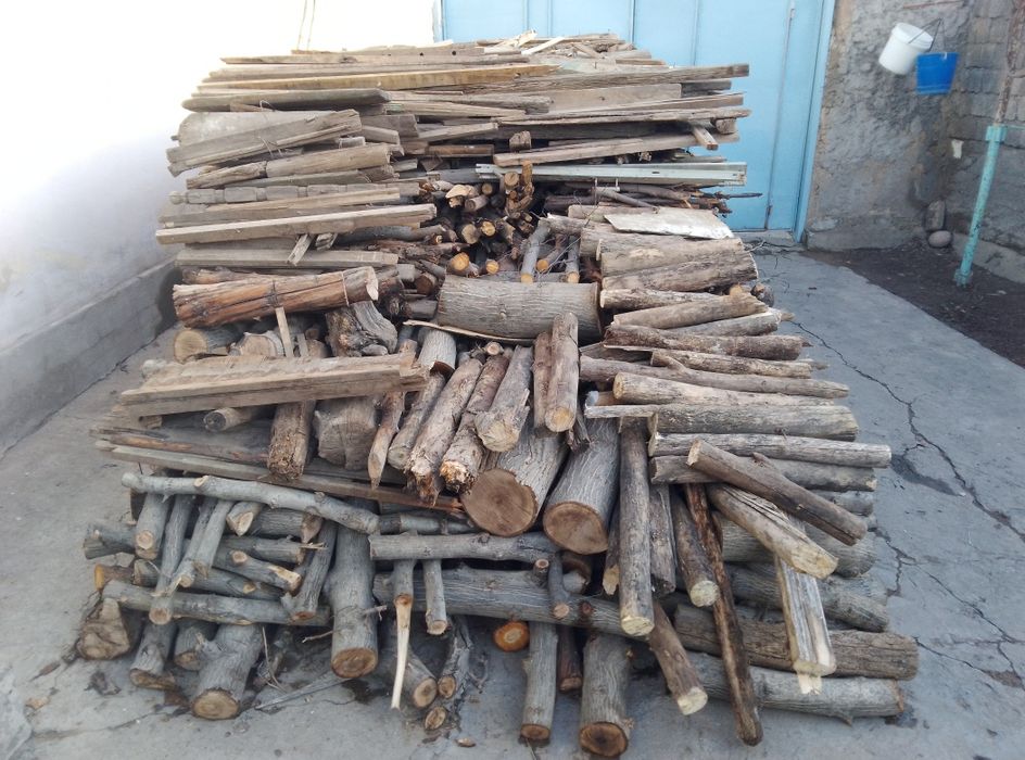 Yoqishga tayyor oʻtin !!!