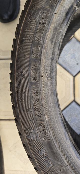 Балон зимний 245,40,18