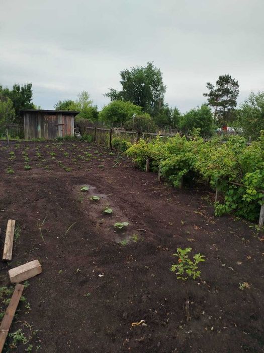 Продам дачу д/с Дружба