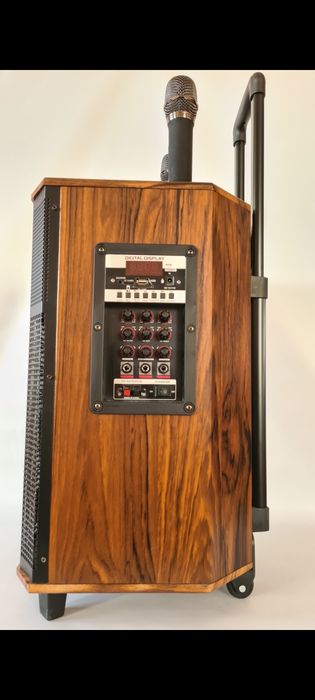 Аренда караоке колонки