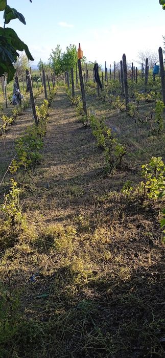 Продава се Къща в Видин, Акджамия - 56 кв.м за 1822 €/кв.м - Снимка #7