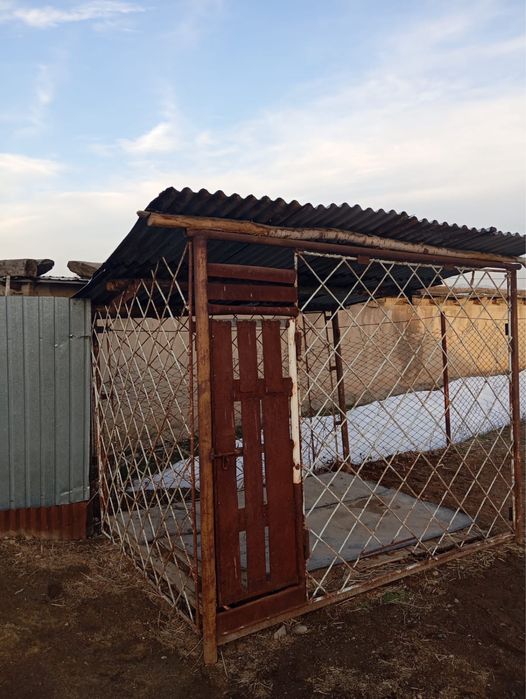 Валер сатылады болар багасы сол