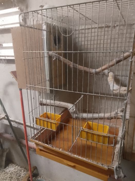 Клетки за средни папагали