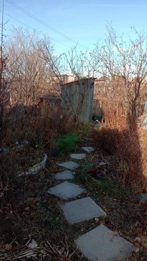 Дача за Куленовкой