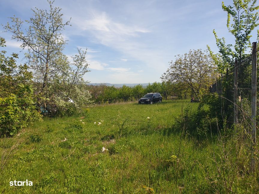 Teren intravilan IASI - COPOU - VITICULTORI - in vecinatatea padurii