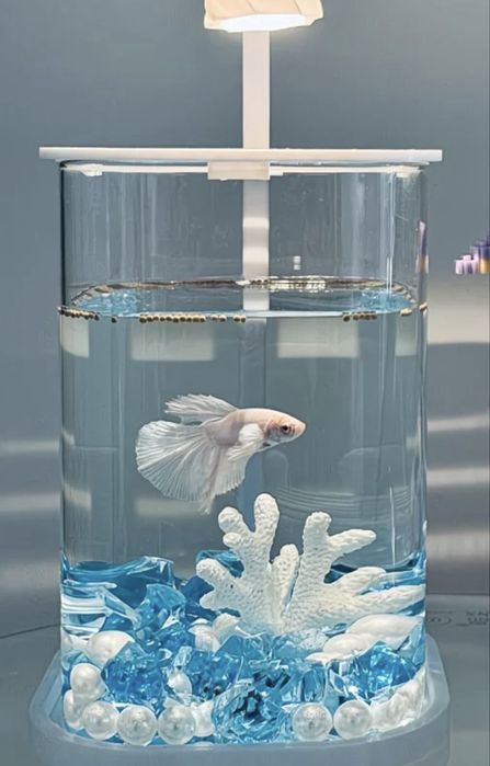 Аквариум с подсветкой