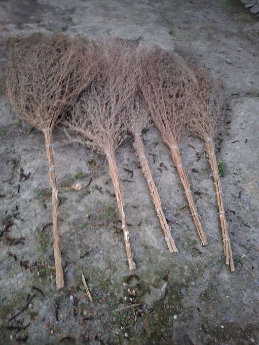 Hovli supurgi. ховли супургь. веник.