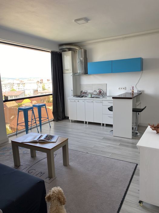 Studio ,ap de inchiriat strada CR Vivu