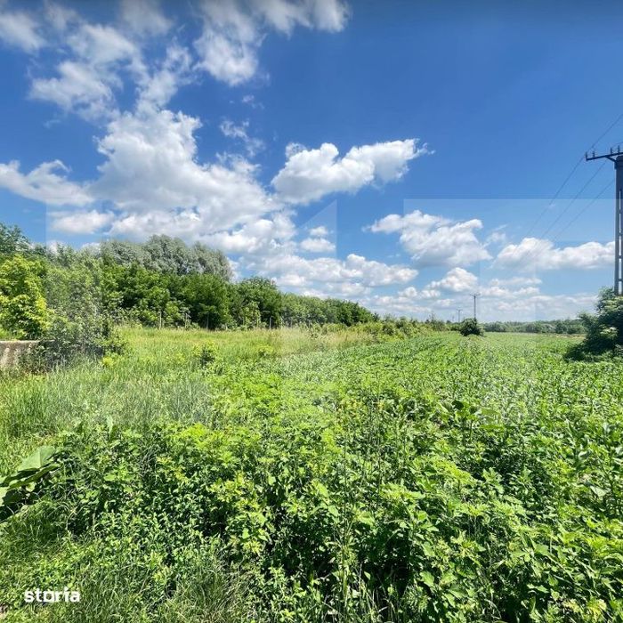 Teren 9.300 mp pentru investitie, Dorohoi, langa viitoarea sosea de ce