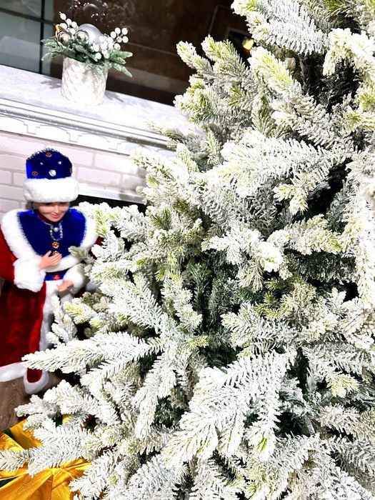 Ель зимний каприз Заснеженная