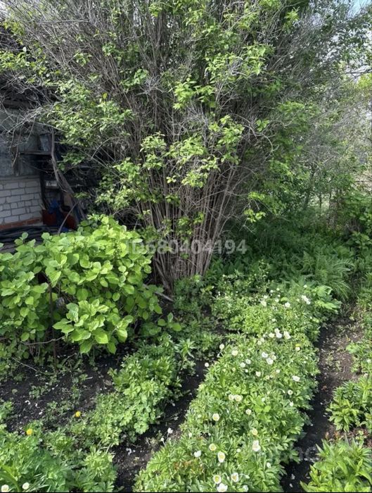 Продам дачный участок с домиком