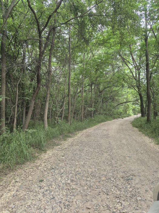 6 соток земли в окружении леса!