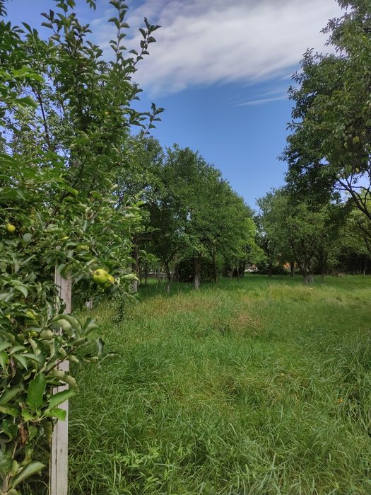 Casă de vânzare .