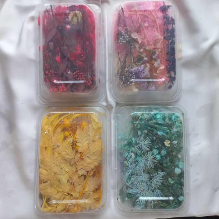 Молды и сухоцветы