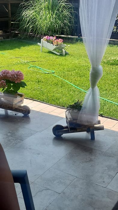 Coteț câine Chitila