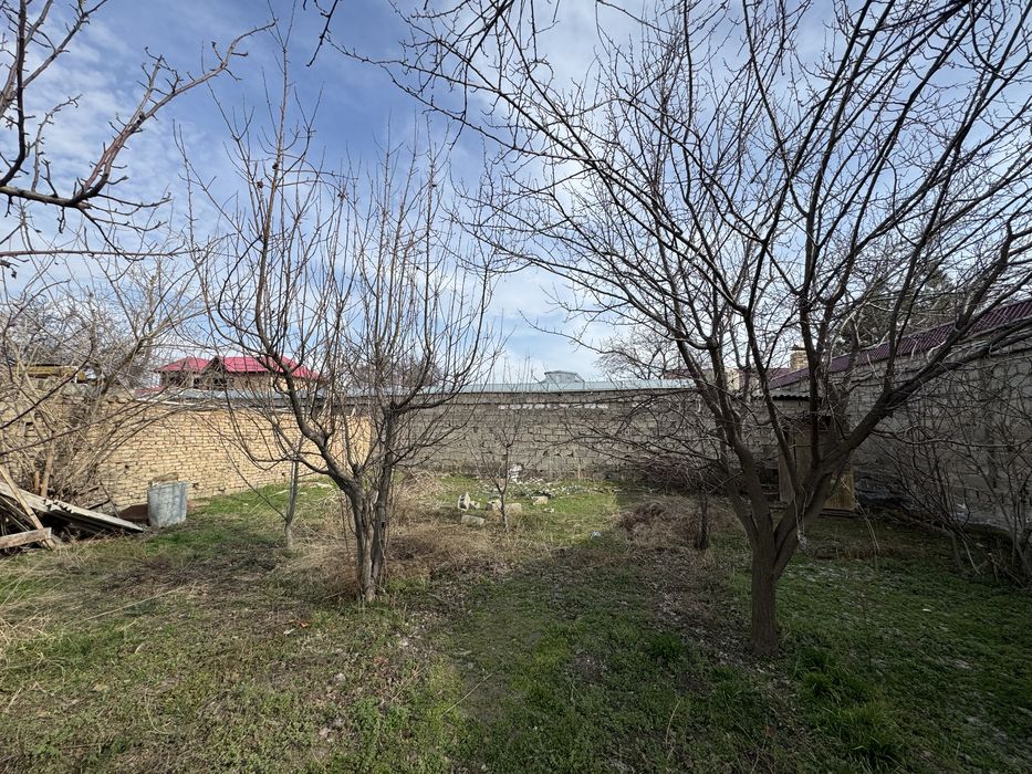 6 Sotiq Sayoxatdan yer Juda Zur va Arzon Narxda !