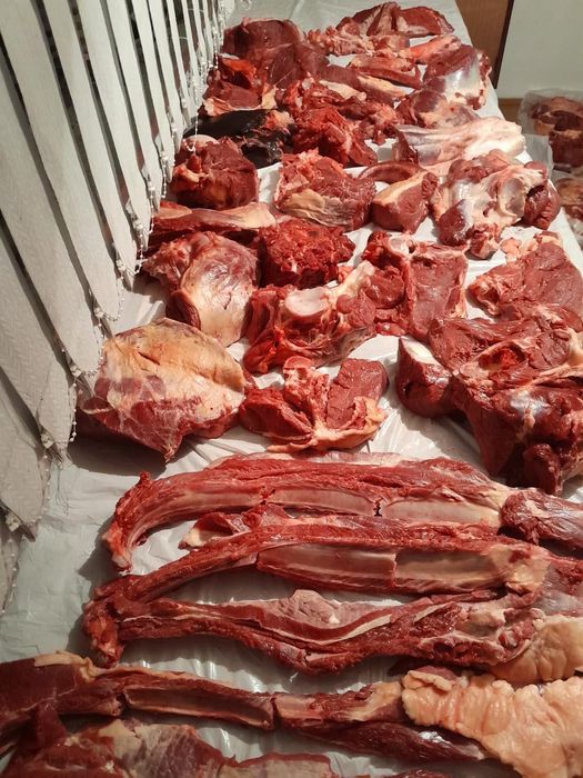 Продам мясо конины