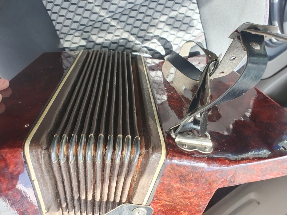 Детски акордеон мальш със кутия малиш