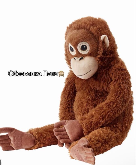 Милая обезьянка Панч